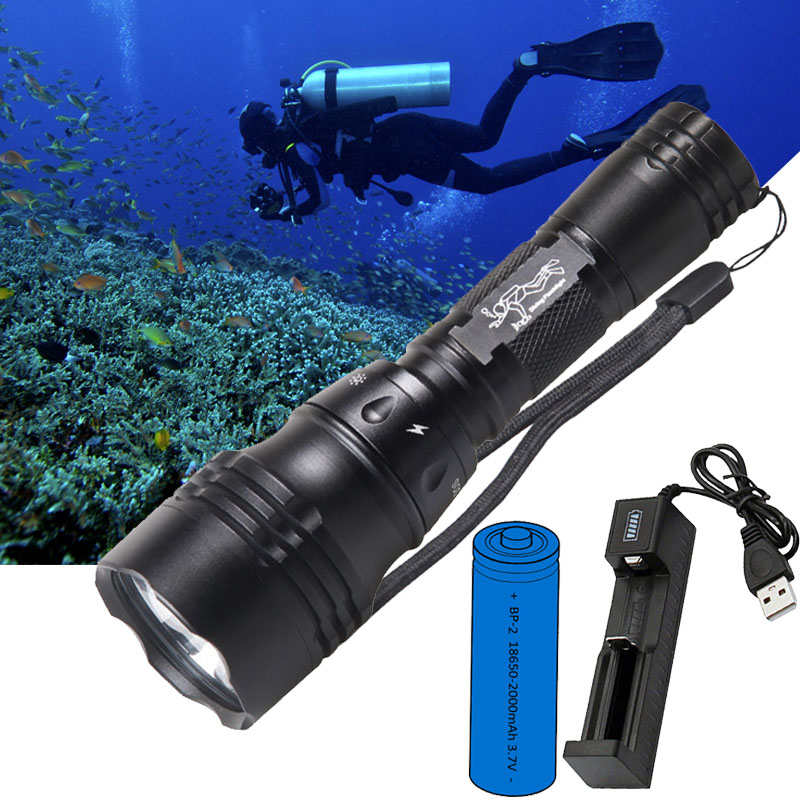 ダイビングランプ ポータブル 10W T6 L2 LED 1 - Fish Finder Charger のレビューと価格